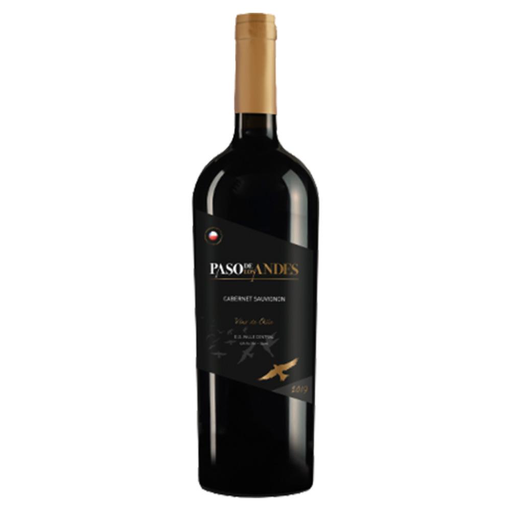 Vinho Chileno Paso de Los Andes Cabernet Sauvignon 750ml