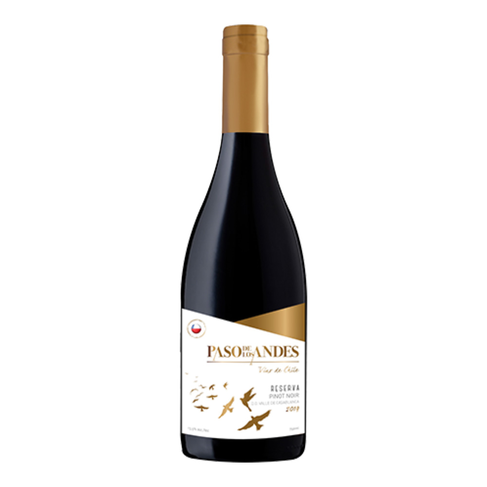 Vinho Chileno Pinot Noir Reserva Paso de Los Andes 750ml