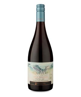 Vinho Queulat Pinot Noir 750ml Ventisquero Gran Reserva